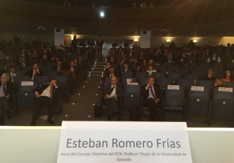 Audit Meeting - Esteban Romero 2